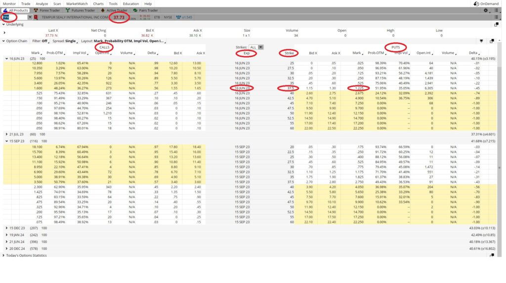 Put Option Contract Example showing the Put Expiration Date, Put Strike Price and the Mark for the Put Option Contract Premium