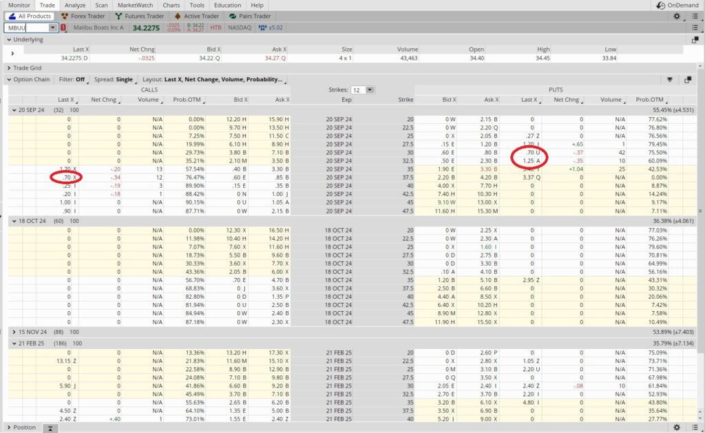 Option Chain for Wheel Option Trade