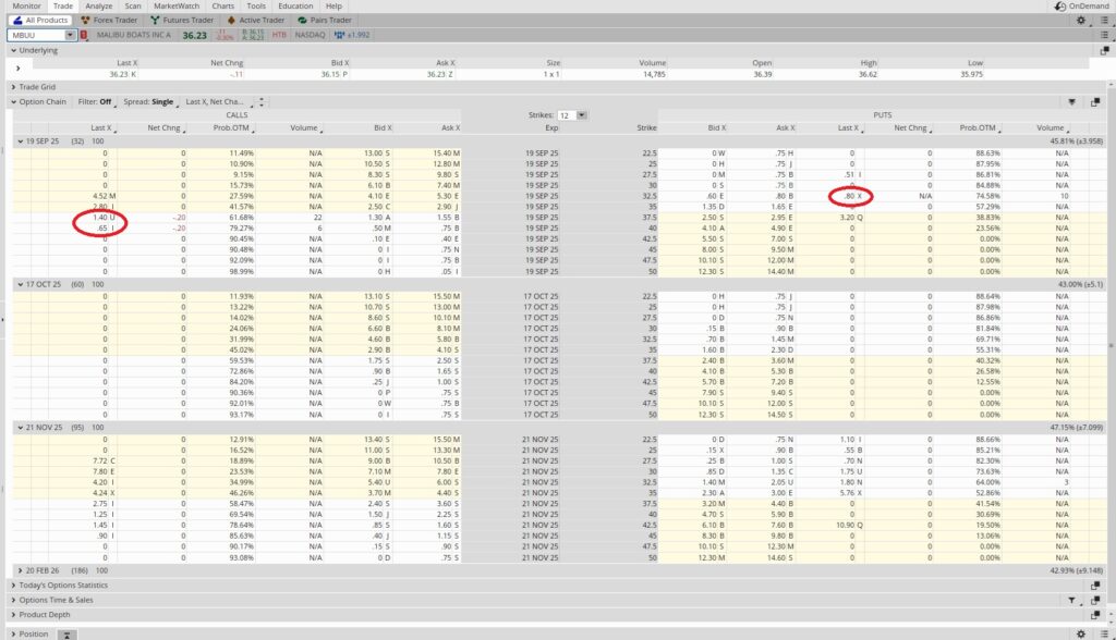 How we create consistent monthly income selling options